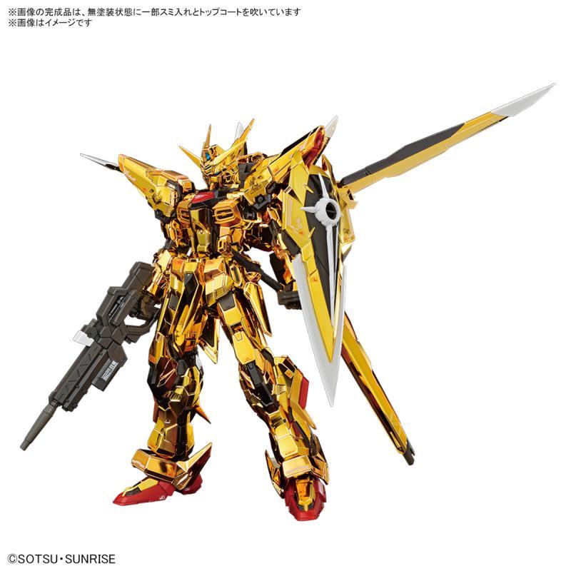 RG 1/144 Akatsuki Gundam (Oowashi equipped)