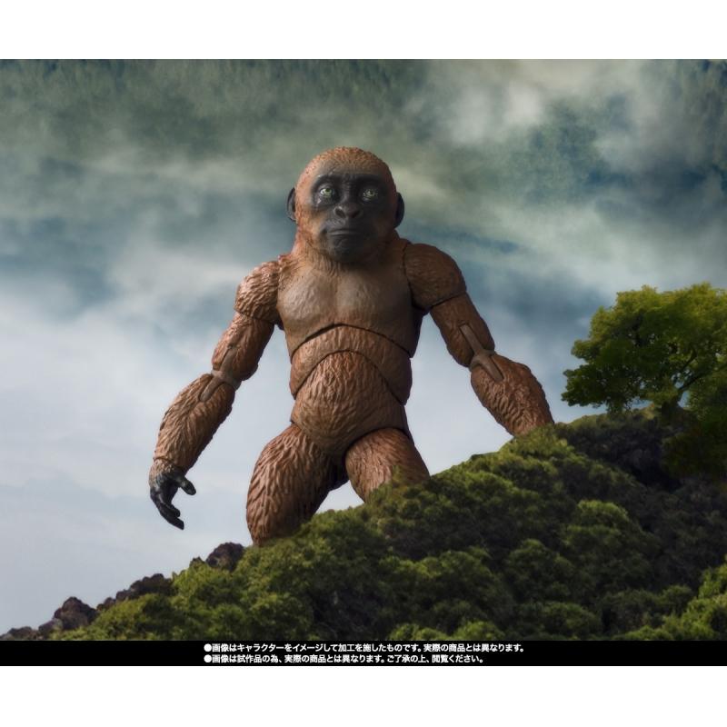 S.H.MonsterArts SUKO & MOTHRA [2024] FROM GODZILLA x KONG: The New Empire