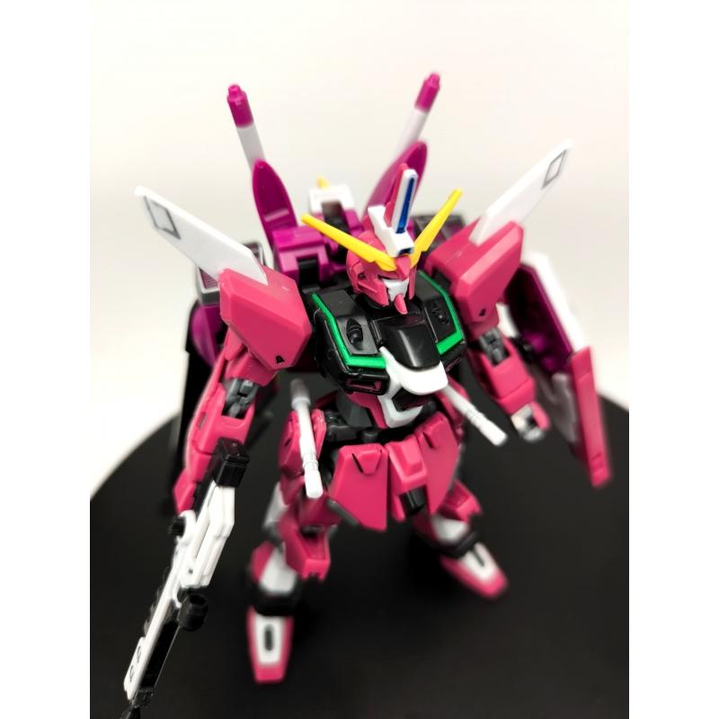 Siap Pasang Assembled HG 1/144 Infinite Justice with Panel Line