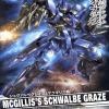 [003] NG 1/100 Mcgillis Schwalbe Graze