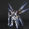 [Daban] 1/60 Strike Freedom Gundam (PG)