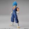 [Dragon Ball] Figure Rise Standard Super Saiyan God Vegito