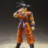 S.H.Figuarts Son Goku -The Saiyan Grew Up on Earth- Reissue