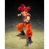 S.H.Figuarts Super Saiyan God Son Goku -The Saiyan God Brought About by a Righteous Heart- (Reissue)