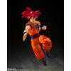 S.H.Figuarts Super Saiyan God Son Goku -The Saiyan God Brought About by a Righteous Heart- (Reissue)