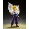 S.H.Figuarts Super Saiyan Son Gohan - A Warrior Who Surpasses Goku - Reissue