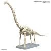 [09] PLANNOSAURUS Brachiosaurus Dinosaur Plastic Model