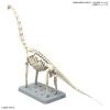 [09] PLANNOSAURUS Brachiosaurus Dinosaur Plastic Model