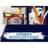 Bandai Namco Gundam Head BN HEAD Collection Vol.2 Strike Freedom