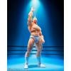 S.H.Figuarts Kinnikuman -Perfect Origin Arc-