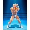 S.H.Figuarts Kinnikuman -Perfect Origin Arc-