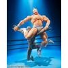 S.H.Figuarts Kinnikuman -Perfect Origin Arc-