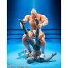 S.H.Figuarts Kinnikuman -Perfect Origin Arc-