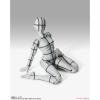 S.H.Figuarts Body-chan -Sport- Edition -Wire Frame- (Gray Color Ver.)